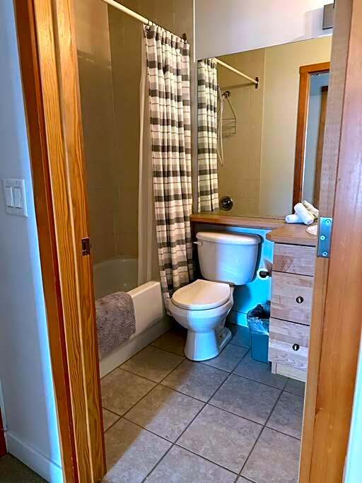 W463 Canmore 2BD 2BT, AC, MT view, Central Location