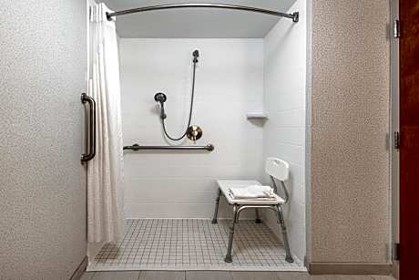 Standard King Room with Roll-in Shower - Mobility Accessible