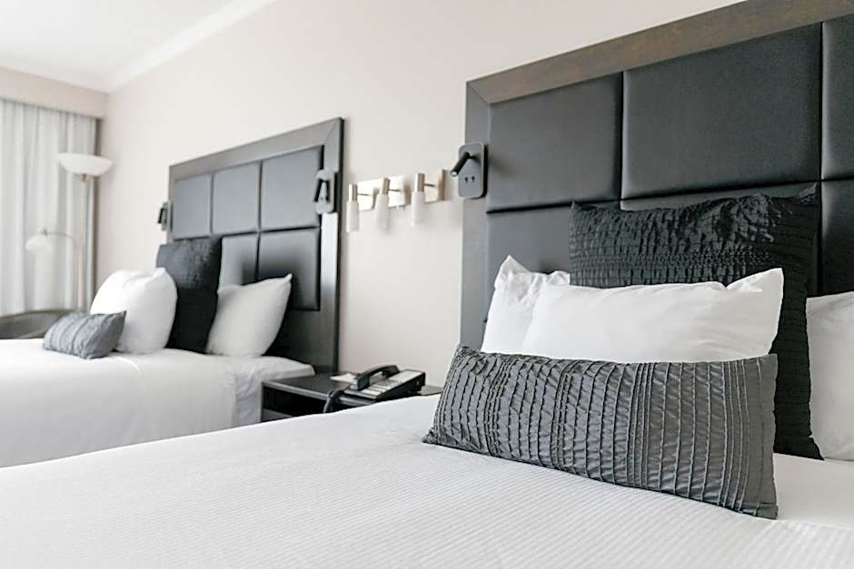 Hotel Universel Alma