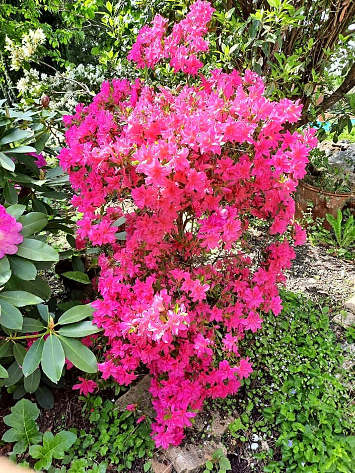 Hôtel De La Barbacane