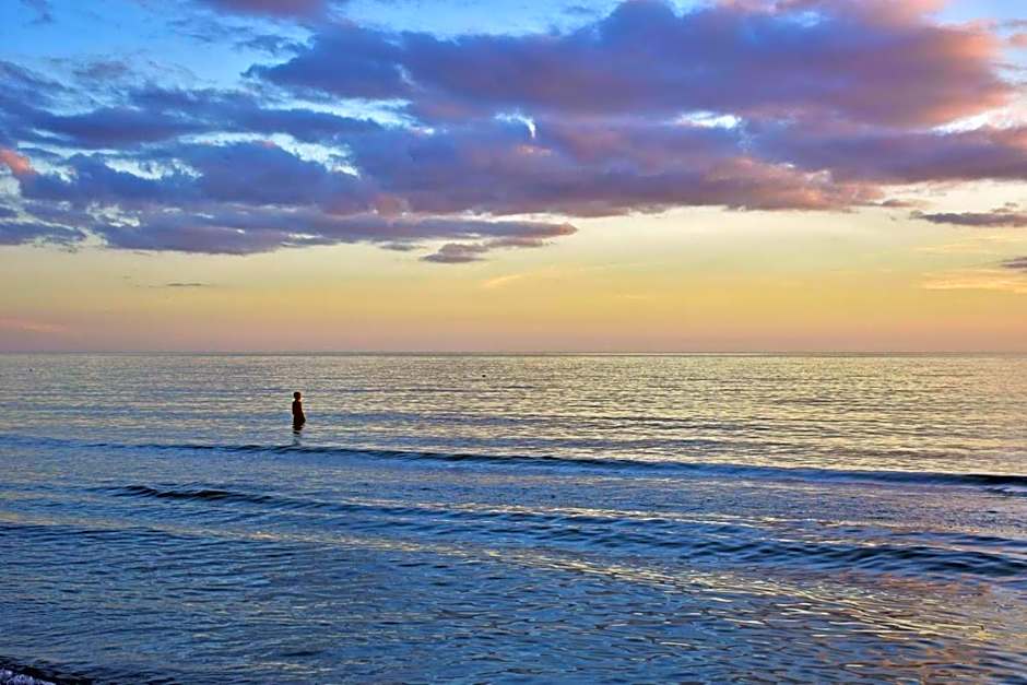 Anna Maria Island Beach Palms 6B