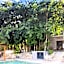 Hotel Casa Tortuga Tulum Cenotes Park Inclusive