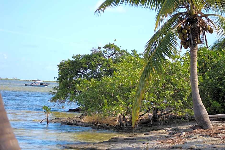 Ikarus Costa Mujeres Eco Lodge Sunset View