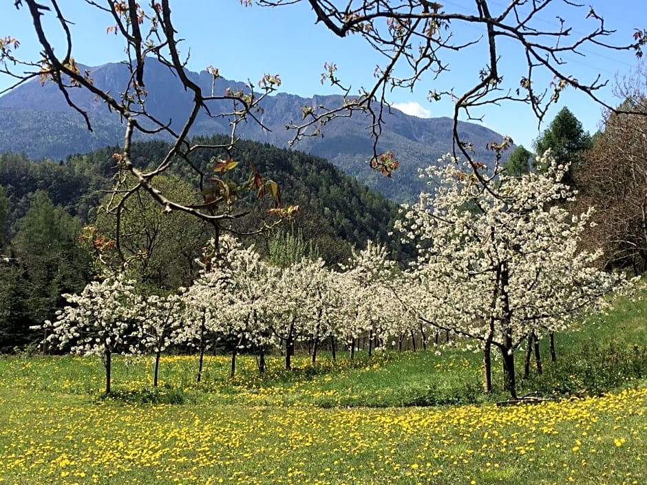 B&B Maso Zont Antico Maso