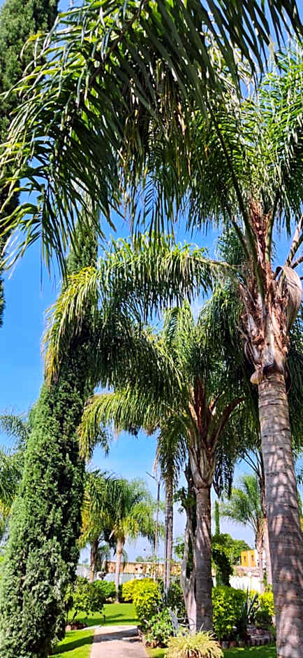 Hacienda Santa Ireme