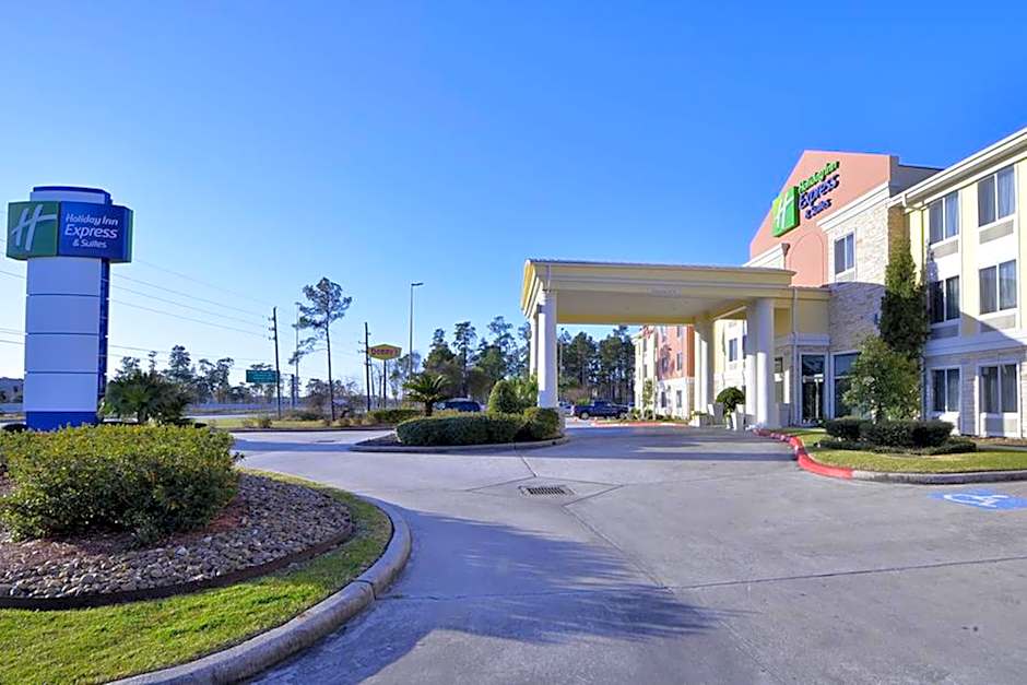Holiday Inn Express & Suites Kingwood - Medical Center Area – Houston, TX