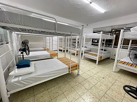 Vive Alegria Hostel