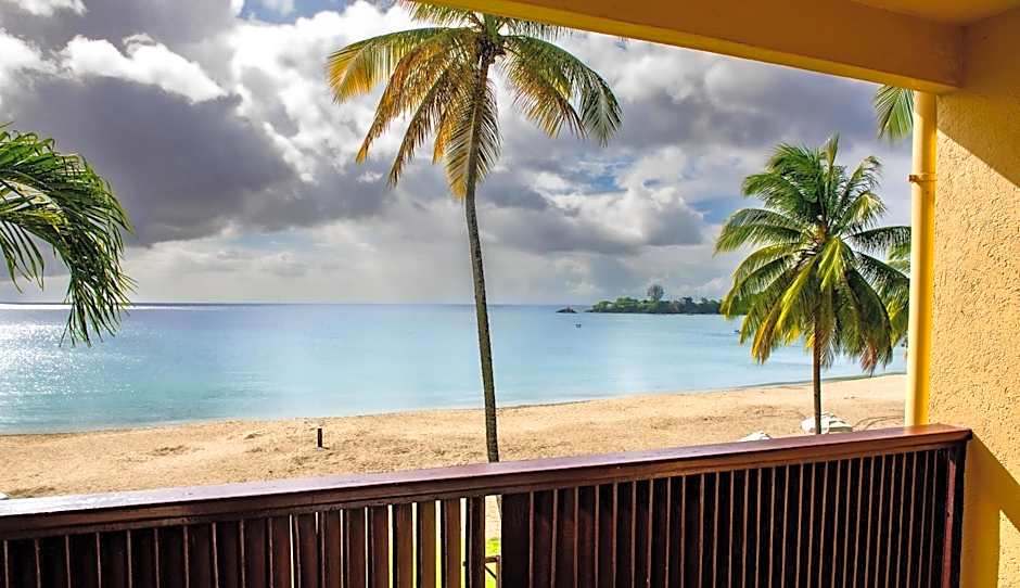 Starfish Tobago