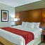 Comfort Suites At Virginia Center Commons