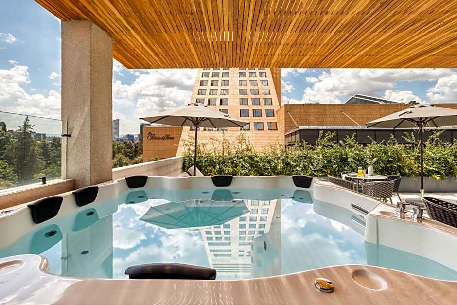 UTOPIC Palacio Polanco by ULIV