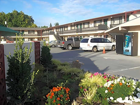 Apex Inn