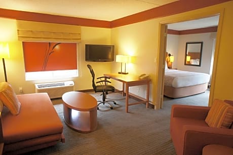 1 King Bed, Suite, Various Views, Non-Smoking