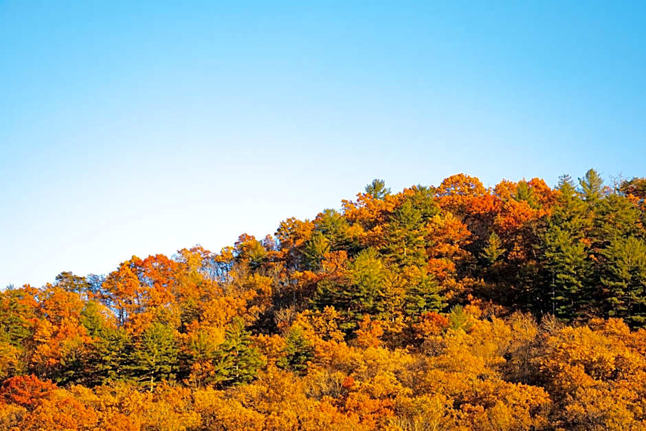 Bay Mountain Inn Cherokee Smoky Mountains