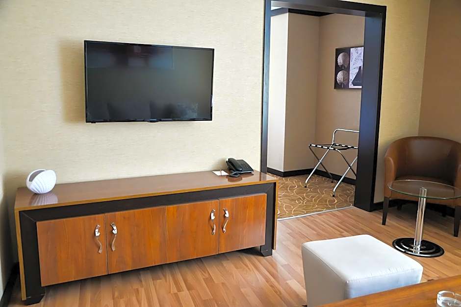 Hotel Cartoon Razgrad