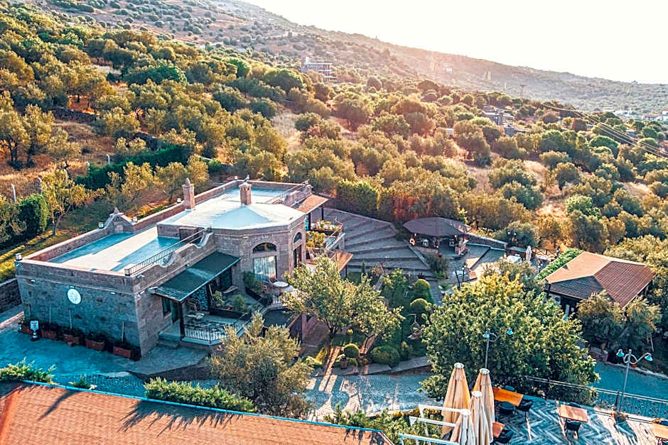 Assos Dionysos Special Class Hotel Adults Only 12 years