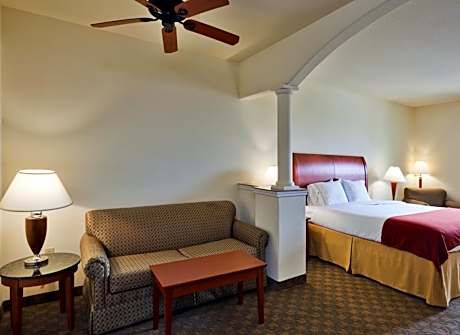 King Suite with Sofa Bed