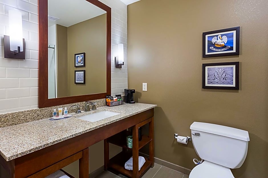 Comfort Inn & Suites Zachary