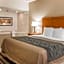 Comfort Inn Metro Airport Romulus