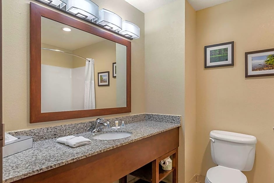 Comfort Suites Grand Rapids North
