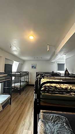 Bed in 10-Bed Mixed Dormitory Room