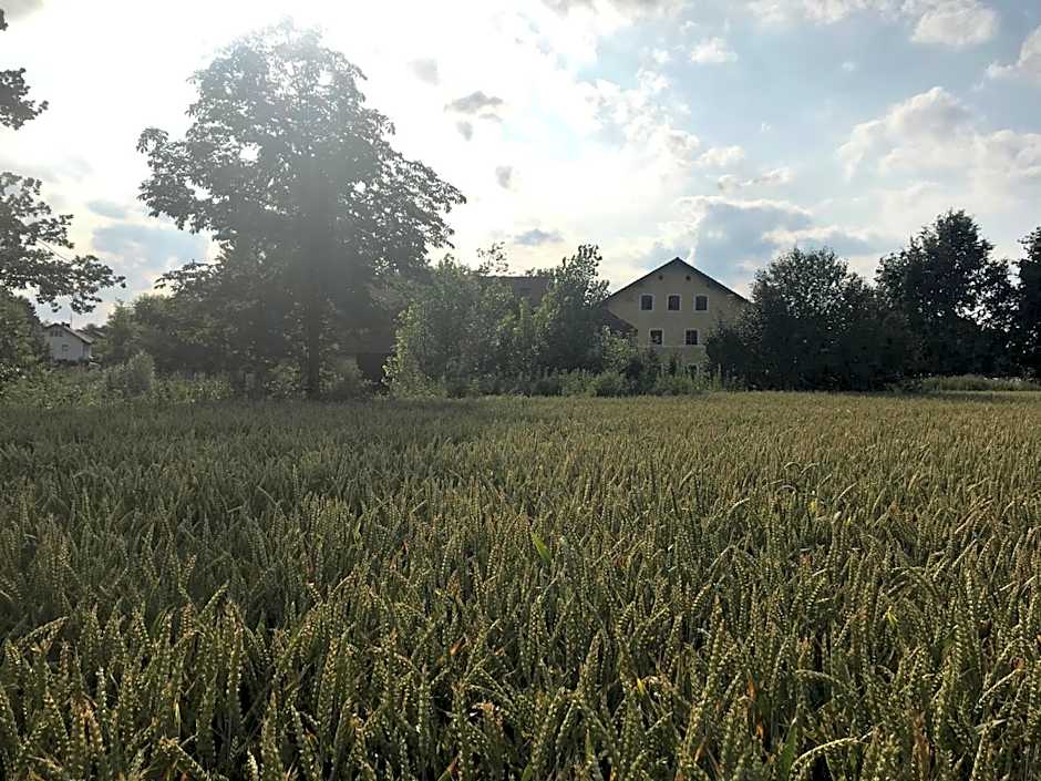 Landgut zur Mühle