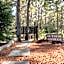Forest Rise Chalets and Lodge
