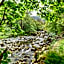 YHA Borrowdale
