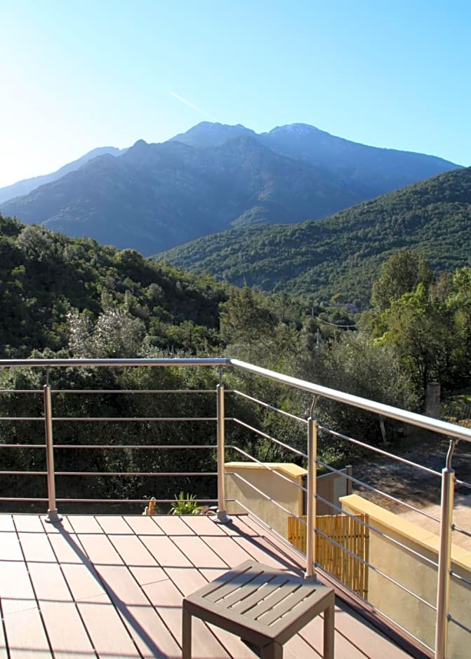 L'oliveraie du Fango