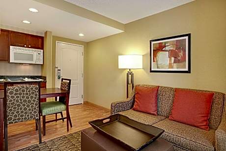 1 King Mobility Accessible Bathtub Studio Nsmk