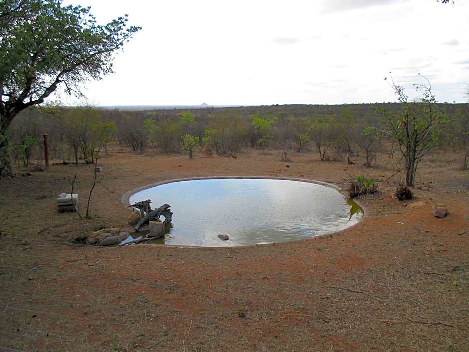 Tingala Lodge - Bed in the Bush