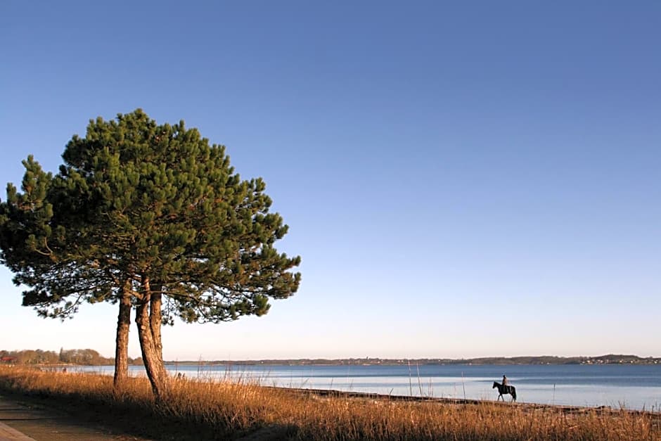 Ostsee-Strandhaus-Holnis
