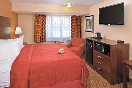 1 King Bed Nonsmoking