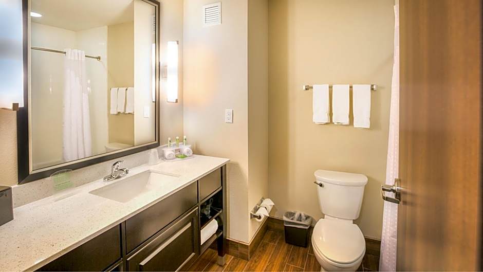 Holiday Inn Express Wichita South By IHG