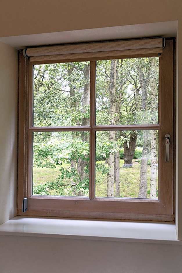 Bosvilla Kennemerduinen