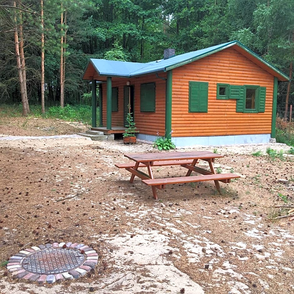 Agroturystyka Oaza Ciszy i Spokoju