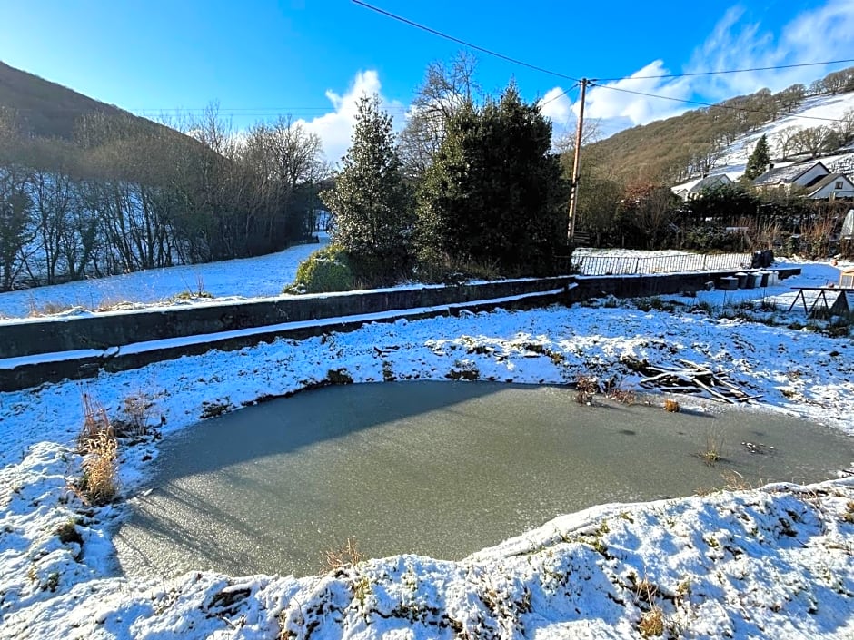 Y Felin Bed and Breakfast and Smallholding