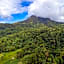 LE DOMAINE DE LA VALLEE