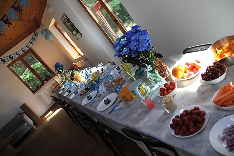 Dom imprezowy z noclegami Dziecinów