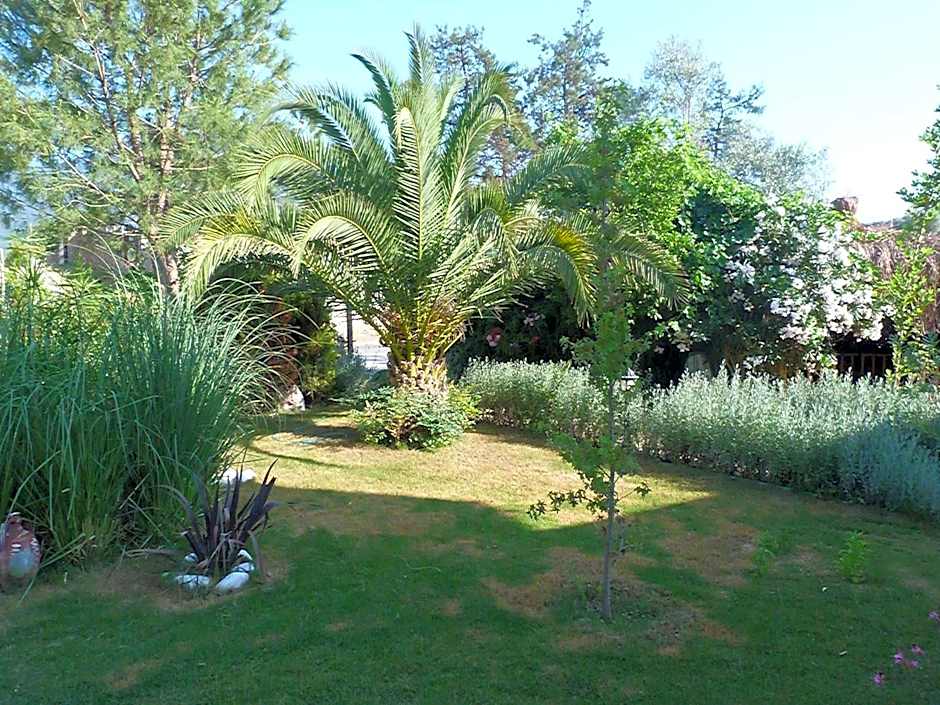 Telmessos Select Hotel - Adult Only (+16) - All Inclusive