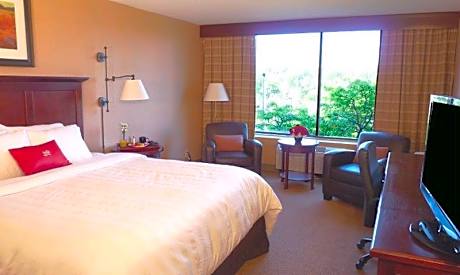 Suite Presidential