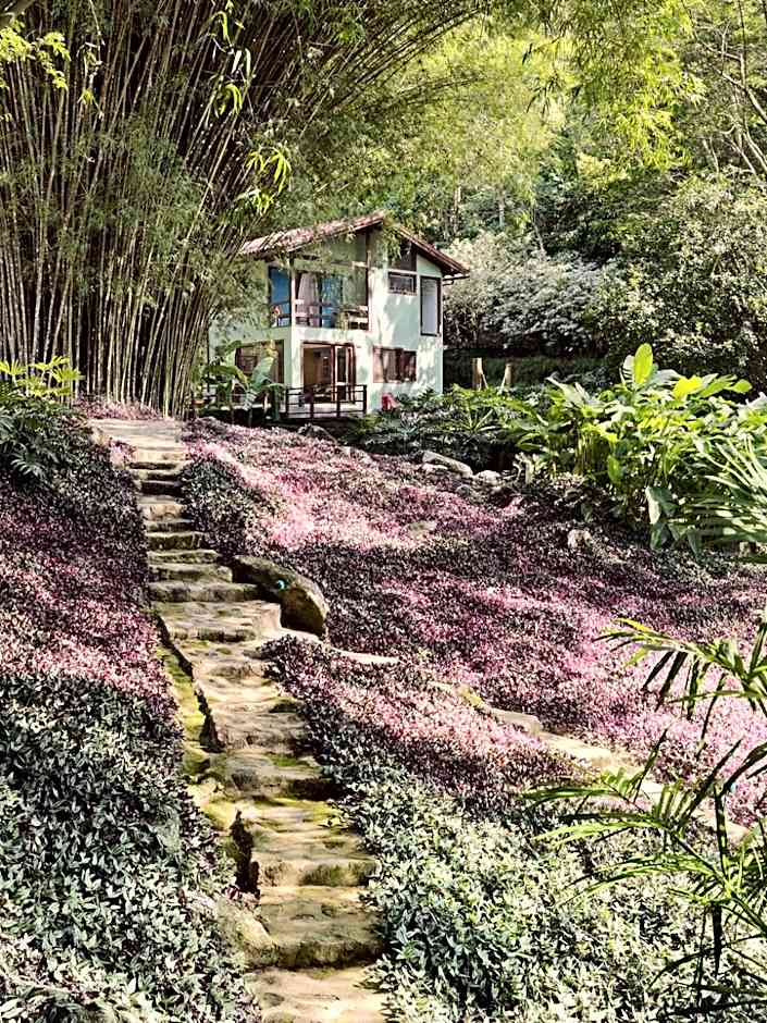 O Sitio - Ilha Grande