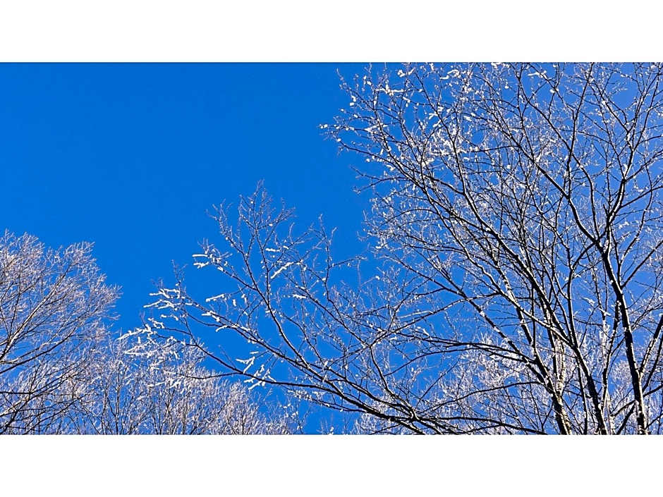 Hotel Silk in Madarao - Vacation STAY 79652v