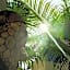 Nikau Hotel El Cuyo - Adults Only