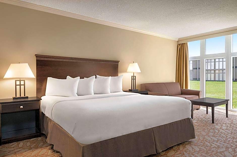 Executive 1 King Bed — 3 fotoğraftan 1. fotoğraf