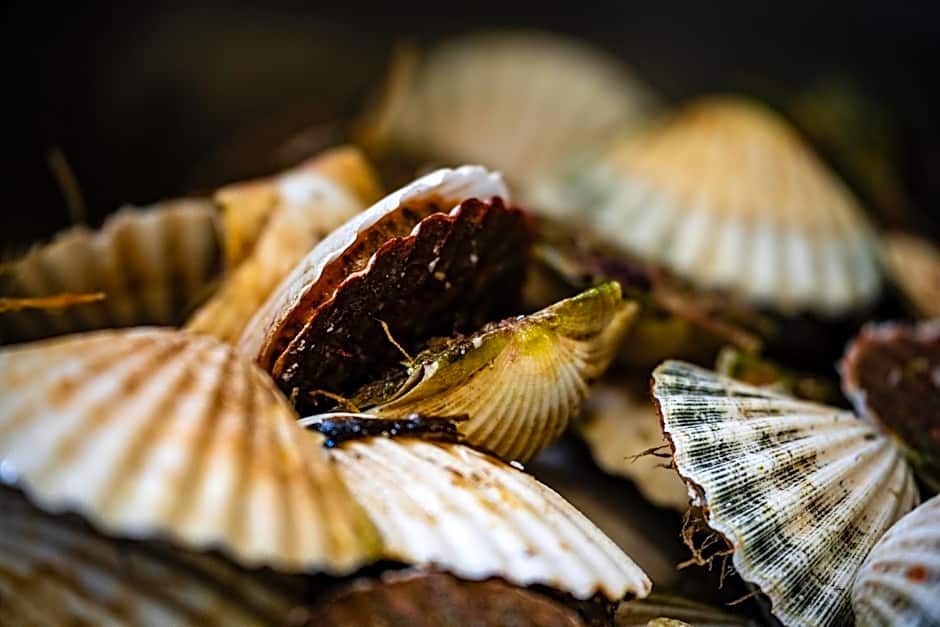 Murray Arms Hotel and Seafood Restaurant, Orkney