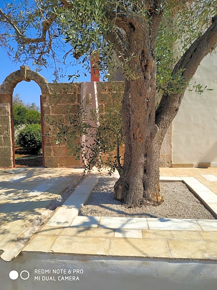 Casina Rossa di Pietrafitta