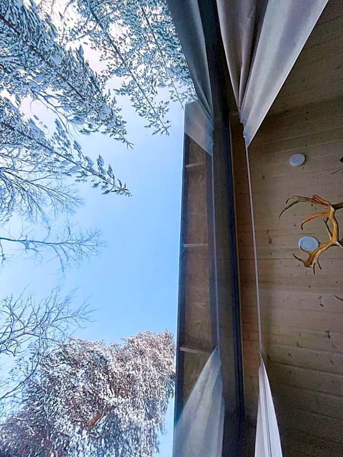 Skyfire Village Igloos