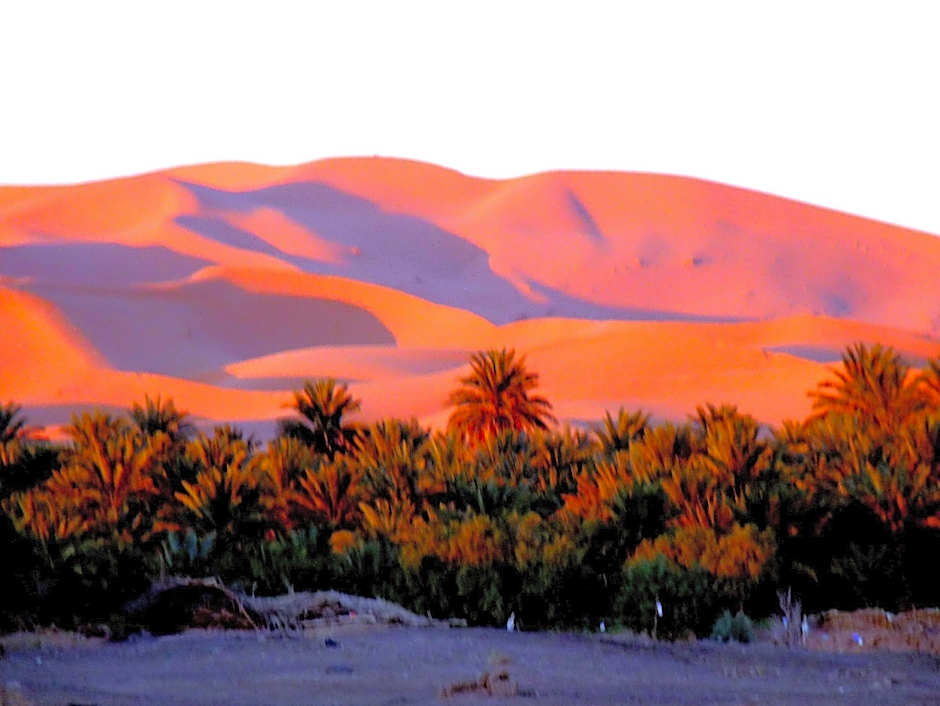 La Vallée des Dunes