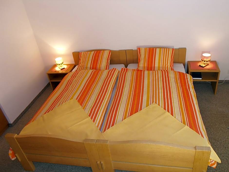 Hotel Alpina