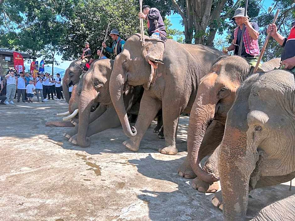 Van Long Elephants Lakeside View Hotel